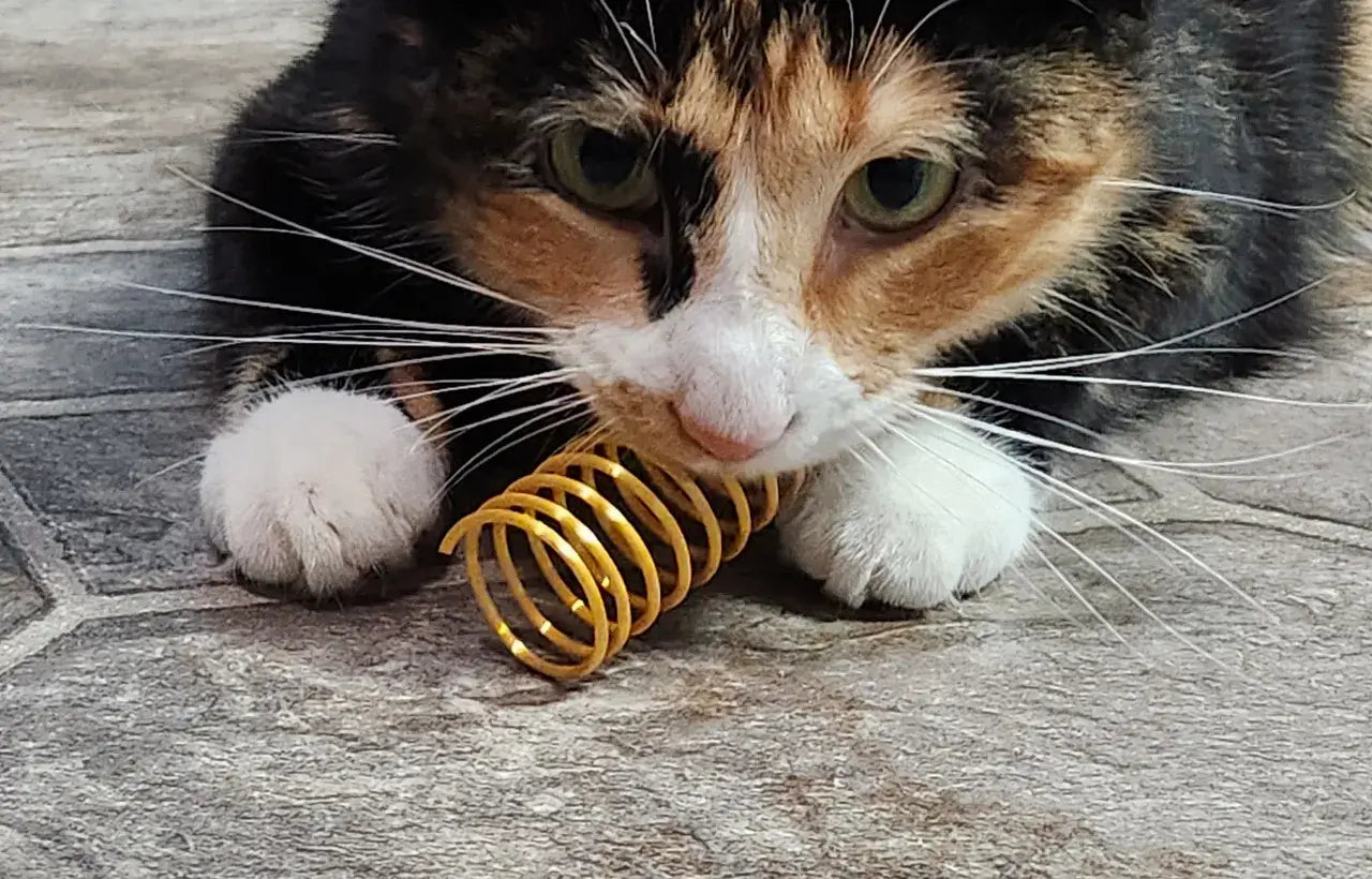 PurrSpring - Cat Spring Toy