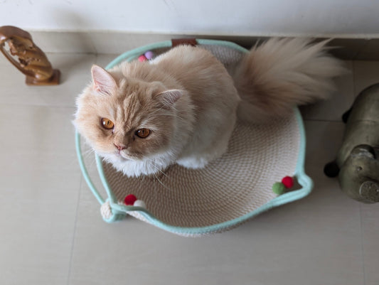 Catscart NaturaLoom Cat Nest - Catscart