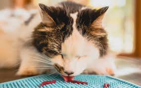 Catscart SloSavor | Slow Feeder Mat - Catscart