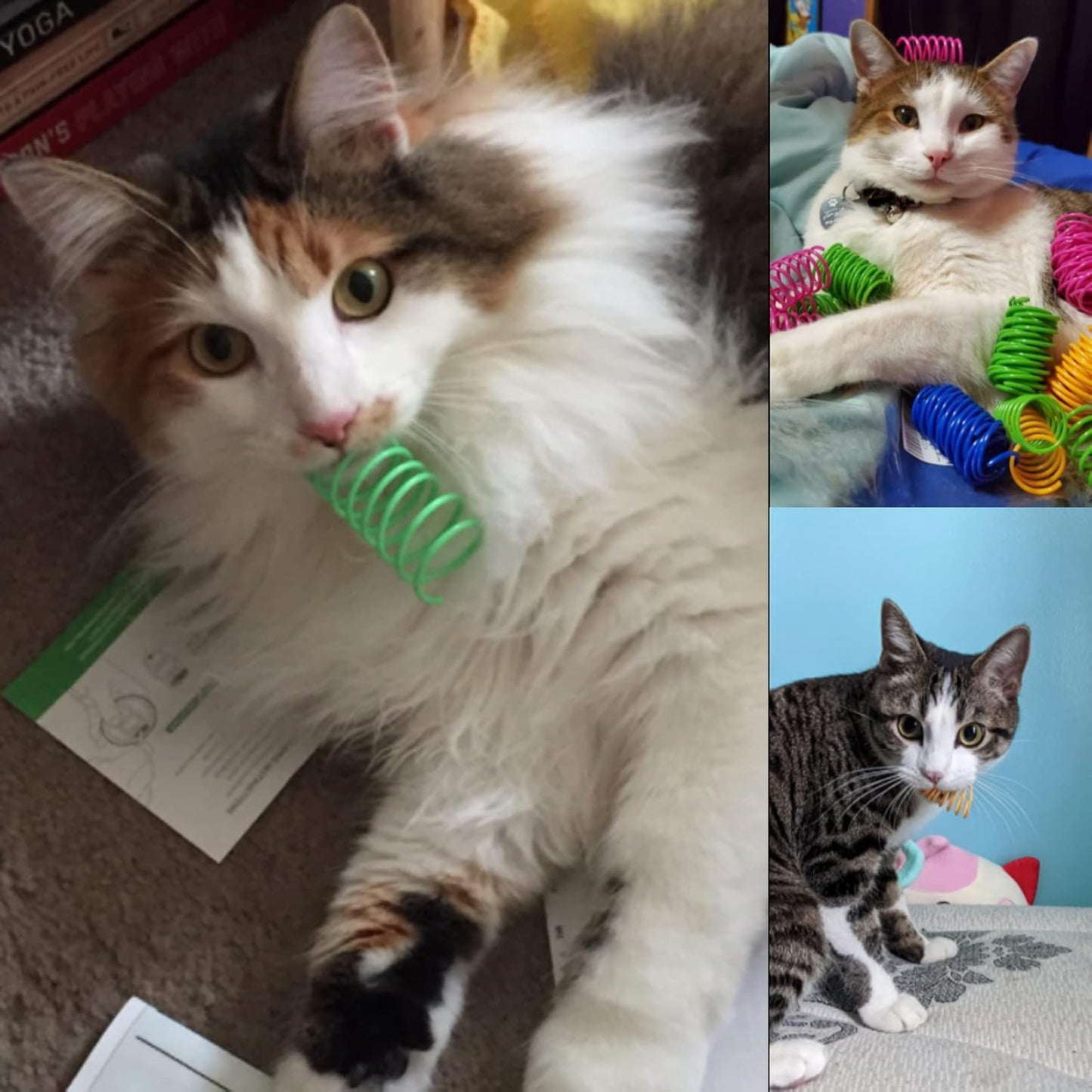 PurrSpring - Cat Spring Toy - Catscart