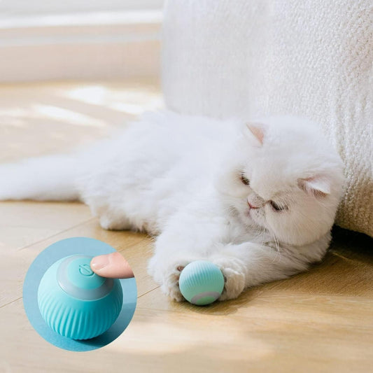 Rechargeable LED Rotating Cat‑Toy Ball