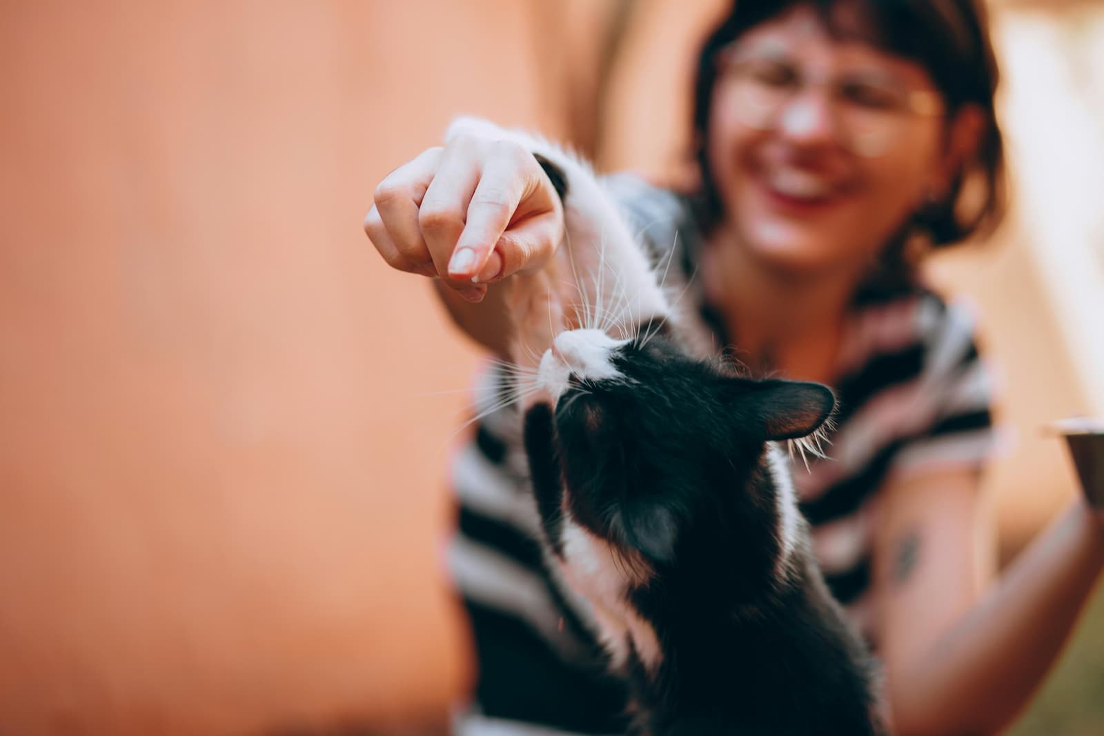 Person holding a small black and white animal with a blurred background