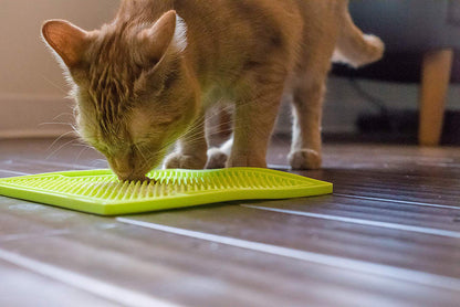 Catscart SloSavor | Slow Feeder Mat
