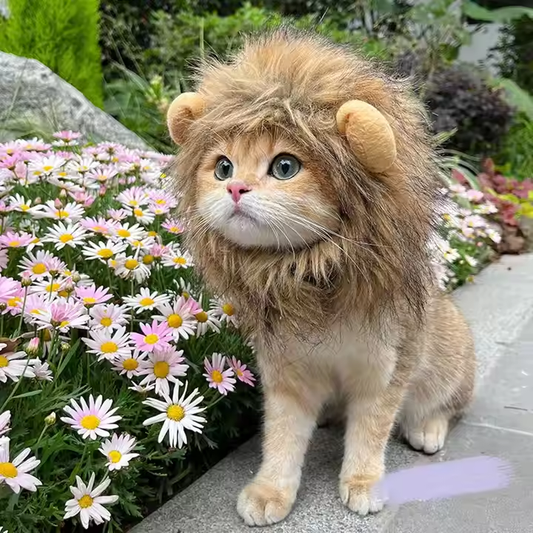 Cat Lion Mane Mask for Cats