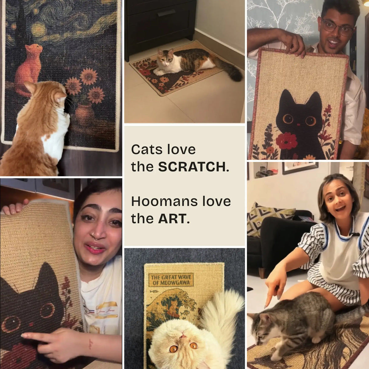 PawCanvas Runner Scratchmat (Non-Printed) – Proof - Catscart [Non-Printed]