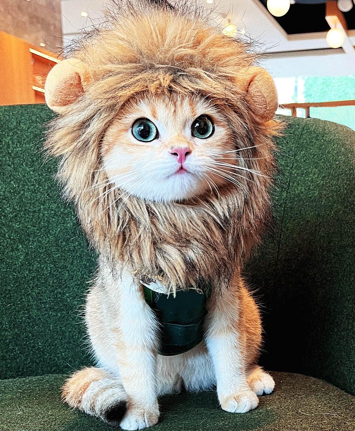 Cat Lion Mane Mask for Cats - Catscart