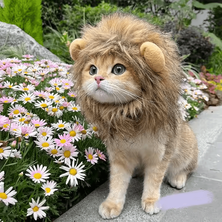 Cat Lion Mane Mask for Cats - Catscart