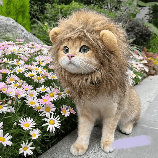 Cat Lion Mane Mask for Cats - Catscart