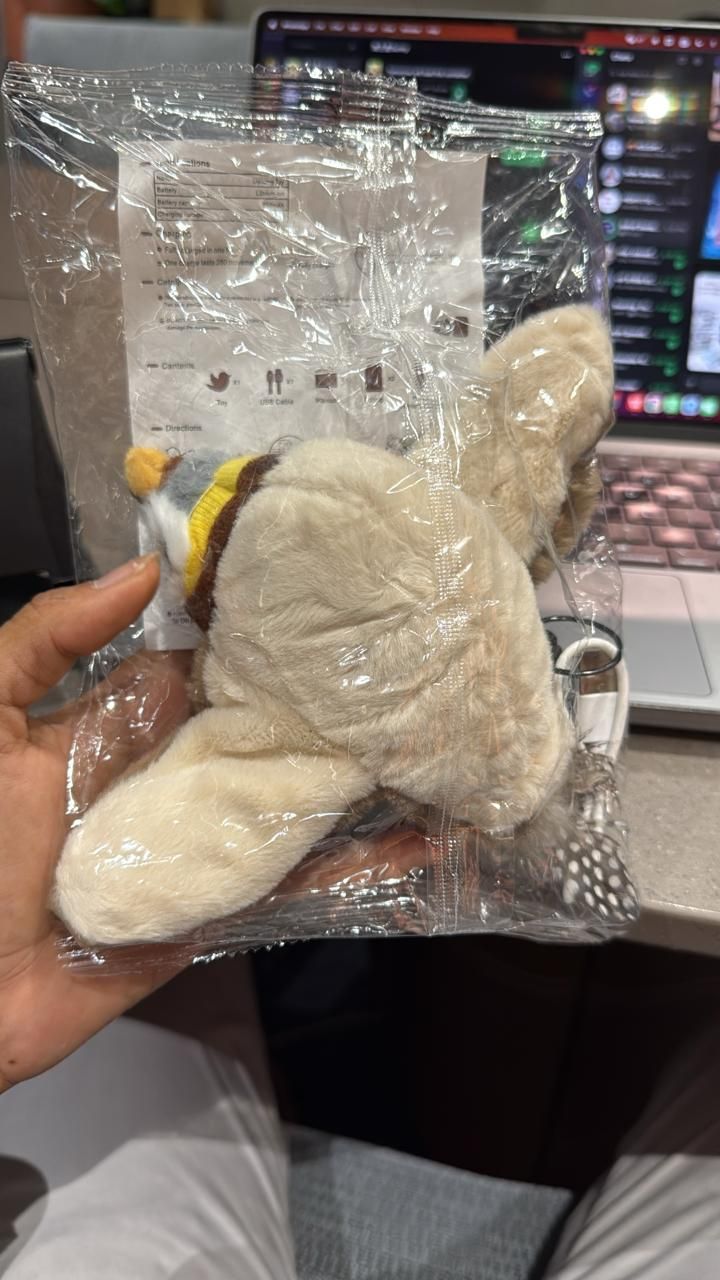 Catscart Flapper – The Flap That Traps (Your Cat’s Attention) - Catscart