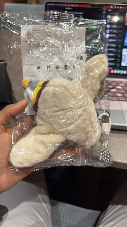 Catscart Flapper – The Flap That Traps (Your Cat’s Attention) - Catscart