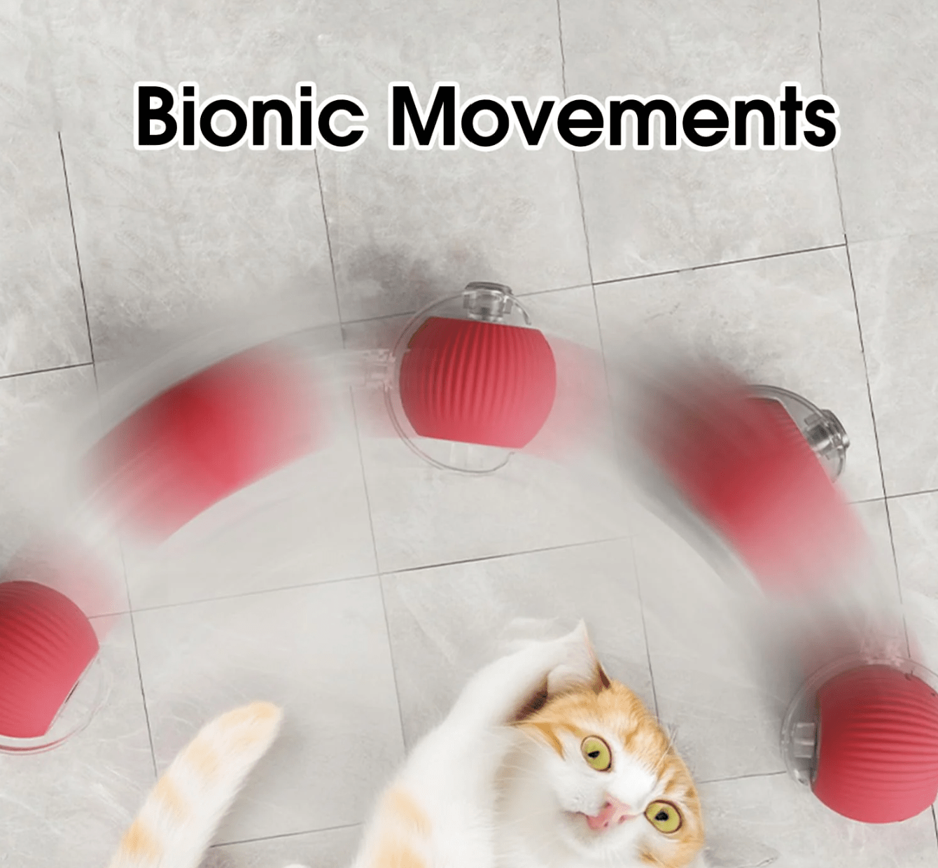 Catscart O2 Interactive Cat Toy Ball with tail - Catscart