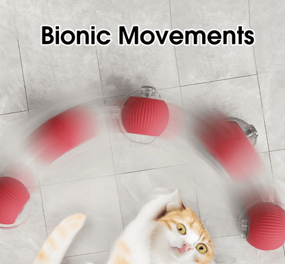 Catscart O2 Interactive Cat Toy Ball with tail - Catscart