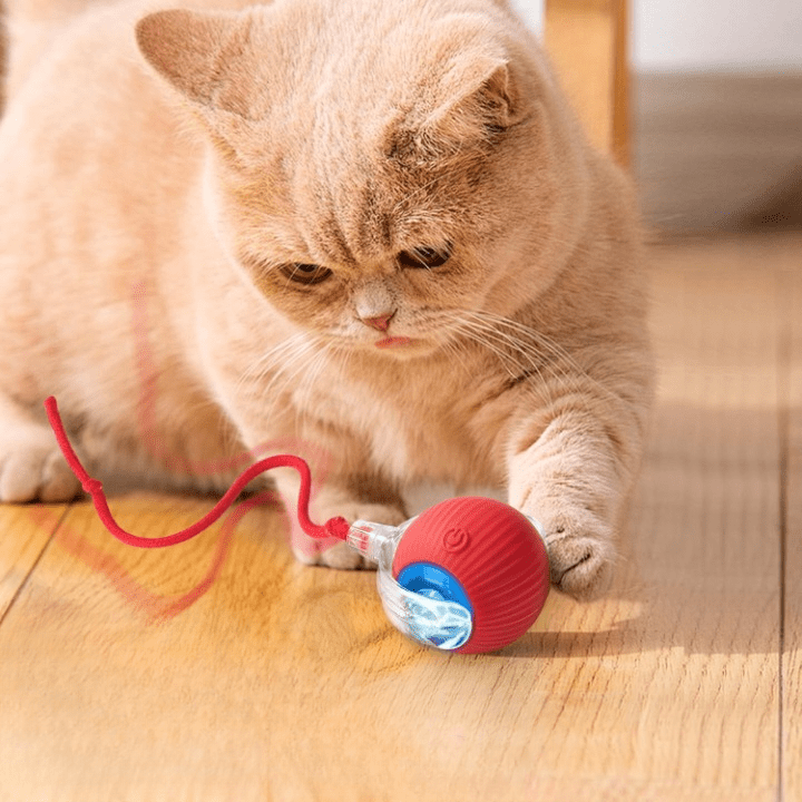 Catscart O2 Interactive Cat Toy Ball with tail - Catscart