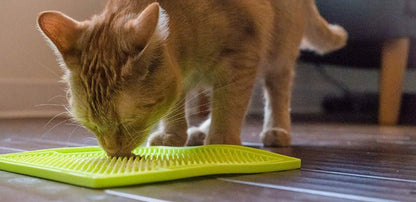 Catscart SloSavor | Slow Feeder Mat - Catscart