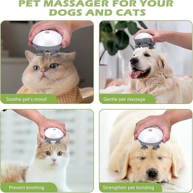 Electric Cat Massager - Catscart