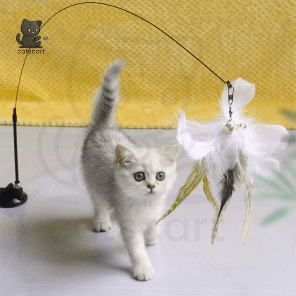 FeatherWand – Flexible Feather Teaser Stick with Suction Cup - Catscart