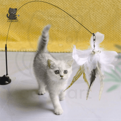 FeatherWand – Flexible Feather Teaser Stick with Suction Cup - Catscart