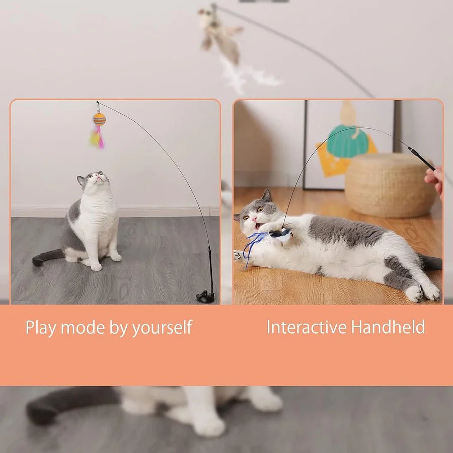 FeatherWand – Flexible Feather Teaser Stick with Suction Cup - Catscart
