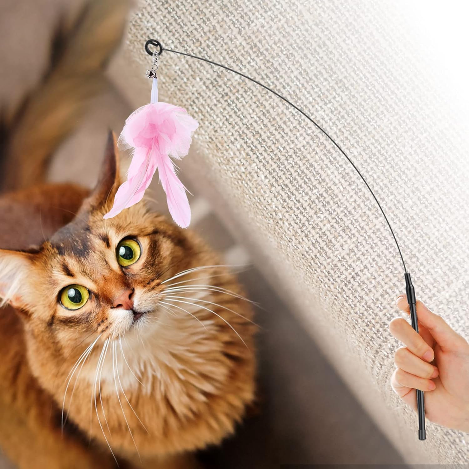 FeatherWand – Flexible Feather Teaser Stick with Suction Cup - Catscart