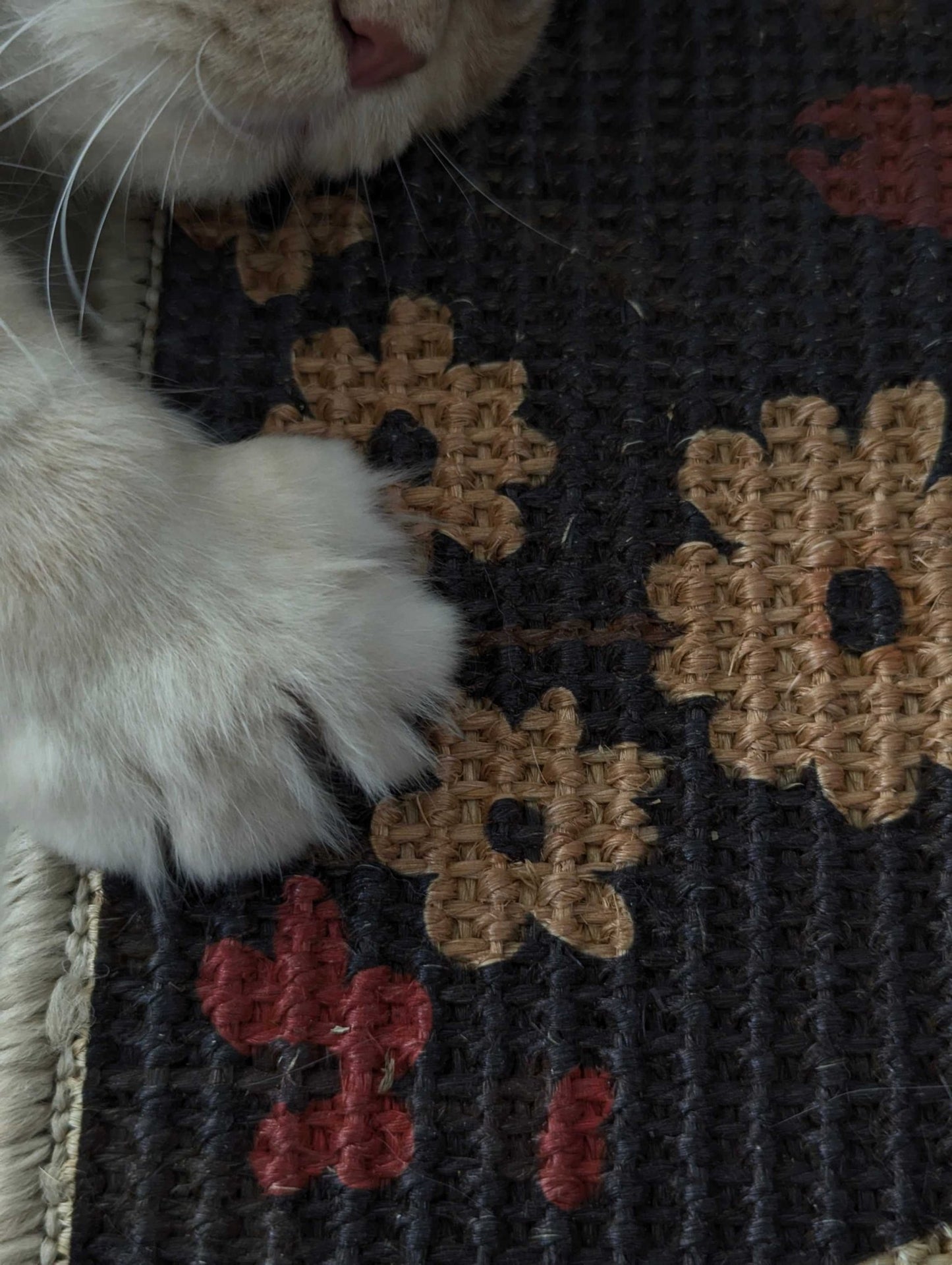 PawCanvas – Premium Cat Scratching Pad (Flower Power) - Catscart