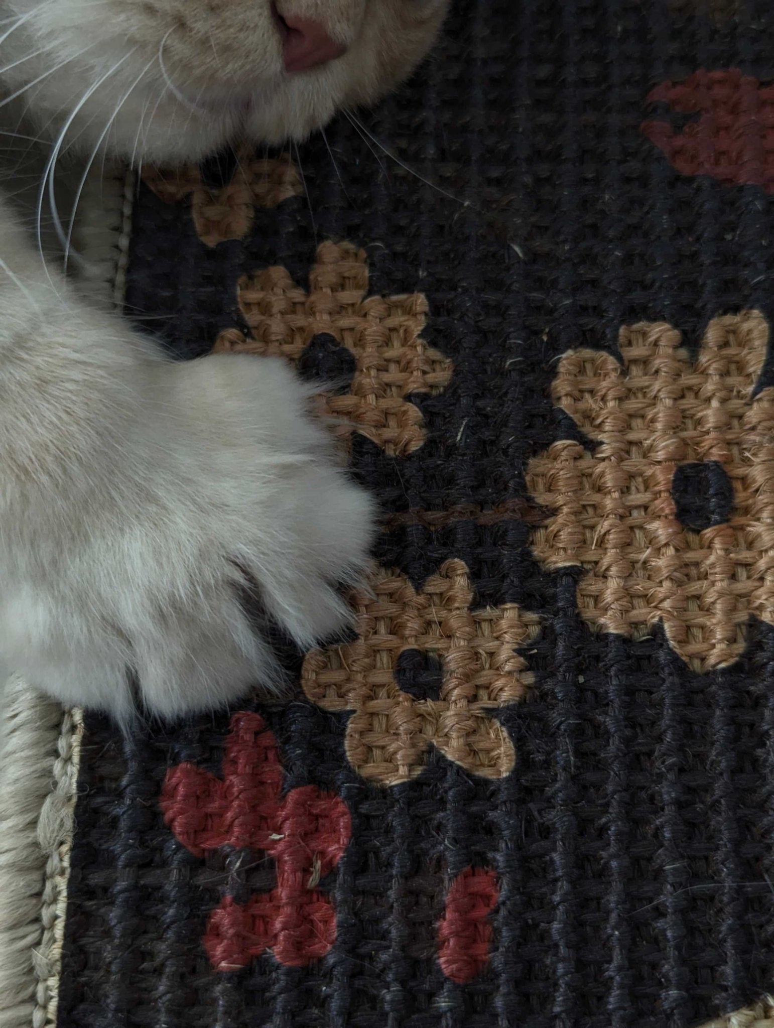 PawCanvas – Premium Cat Scratching Pad (Flower Power) - Catscart