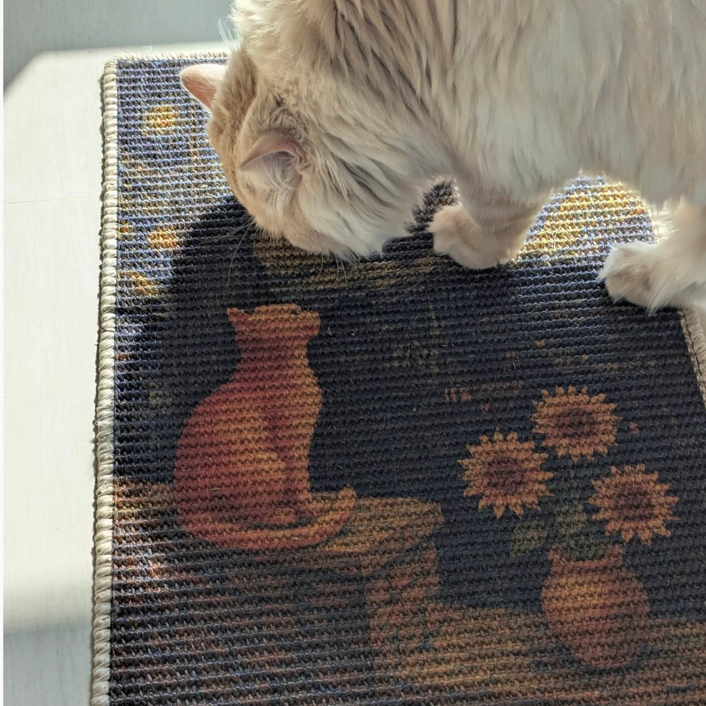 PawCanvas – Premium Cat Scratching Pad (Starry Night) - Catscart