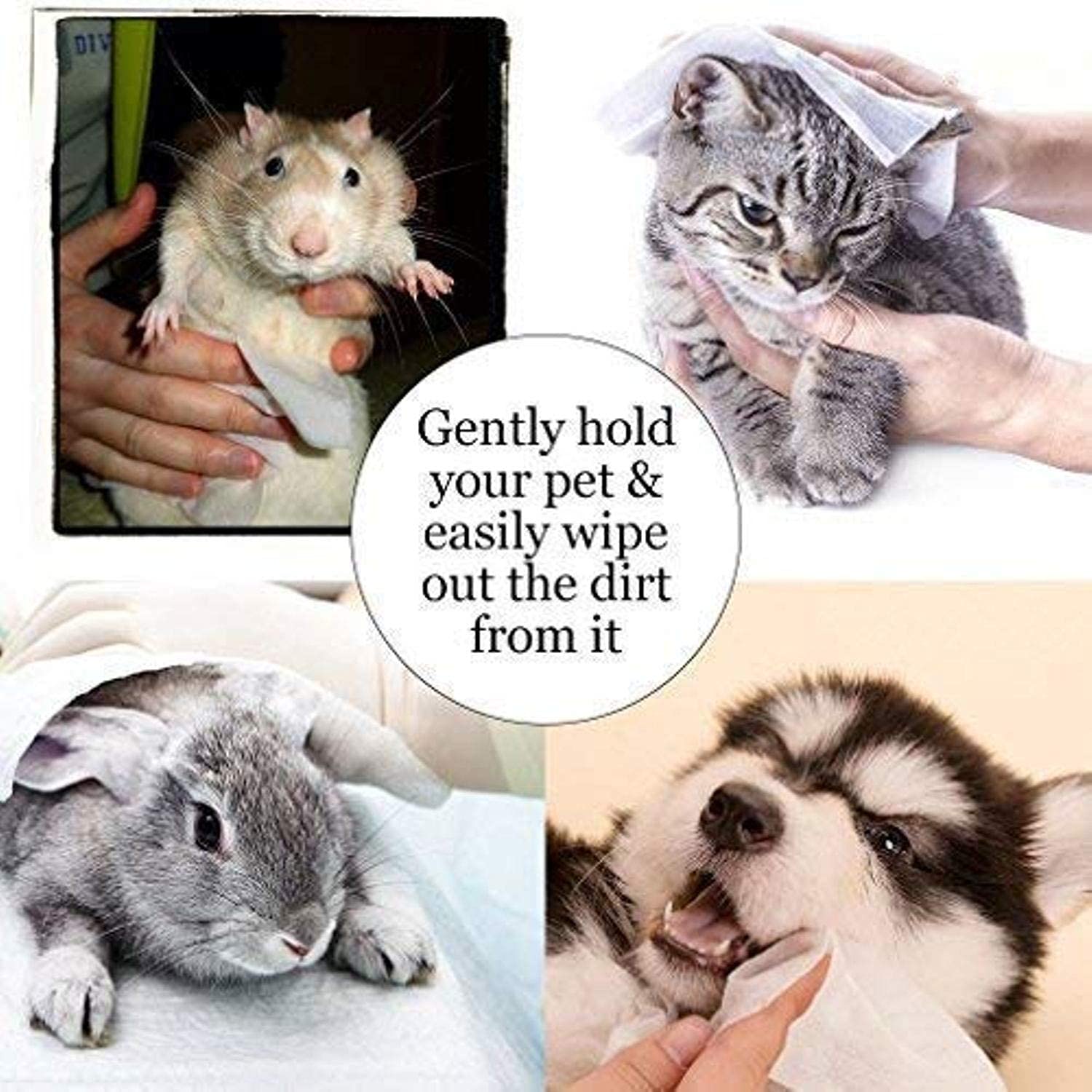 Pet Wipes - Fresh - N - Fluffy by SmartyPet | 100 wipes per pack - Catscart